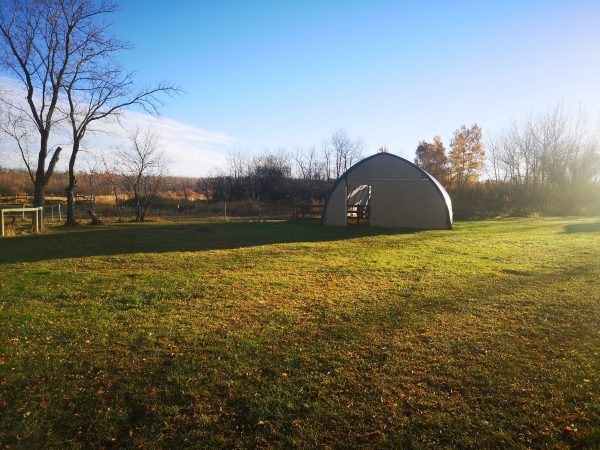Rebuilding Stability-A Home Saved: Join Our Journey