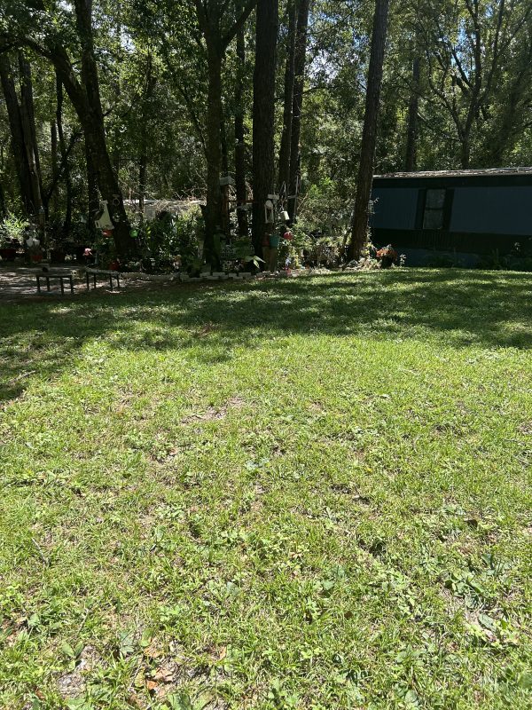 When I moved here their was nothing but dirt.
