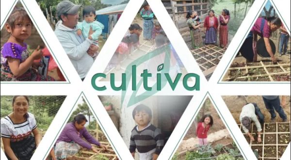 Cultiva