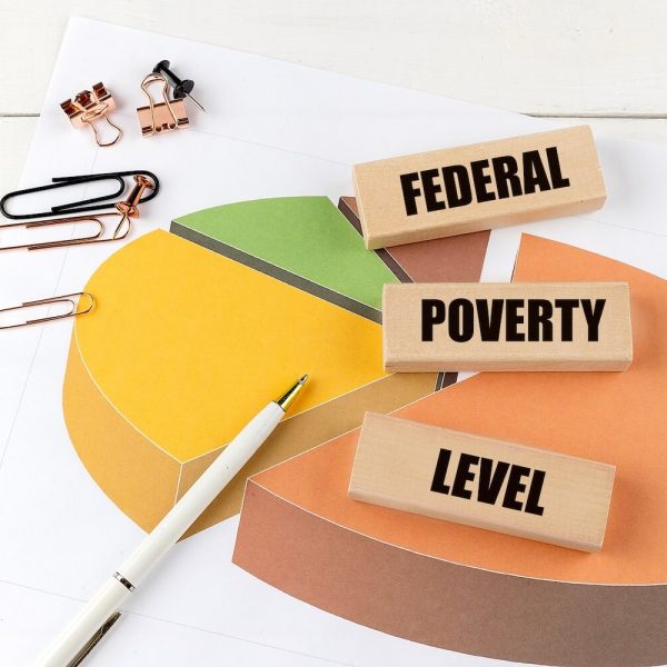 Federal poverty level pie chart