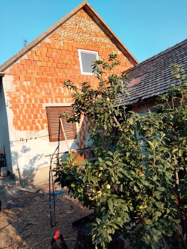 Finish HouseEvo prethodno sastavljenog dopisa za JustGiving kampanju, na engleskom jeziku: — Subject: Help Us Build a Home and Reunite Our Family Dear friends and kind-hearted people, My name is Dragoljub, and I am reaching out with an open heart and a humble request for help. I live in Serbia and work hard, but with very limited income. My wife and I are currently living apart due to difficult financial circumstances. We have a son who is also separated from us and lives with his grandmother. It breaks our hearts every day not being together as a family under one roof. Despite our efforts and full-time jobs, our income is not enough to finish building our modest home. We dream of having a safe and warm place where we can finally live together as a family. Any contribution – no matter how small – would mean the world to us and bring us closer to our dream. If you are not able to donate, simply sharing our story would also be a great help. Thank you for taking the time to read our story and for any support you can offer. Your kindness gives us hope. With gratitude, Dragoljub — Ako želiš da dopunim ovaj tekst (npr. da uključim dodatne detalje, sliku, ime kampanje, link itd.), samo reci. Takođe mogu i prevod na srpski ako ti je potreban.